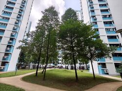 Blk 534 Panshan Grove (Bukit Panjang), HDB 5 Rooms #531043311